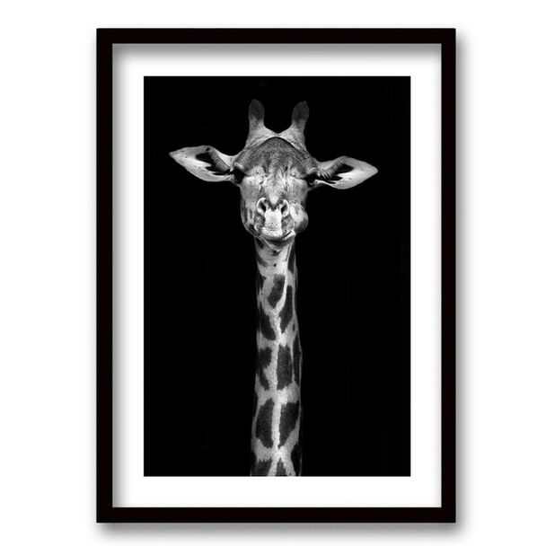 Cuadro Decorativo Retela Jirafa BN 70 x 50 cm