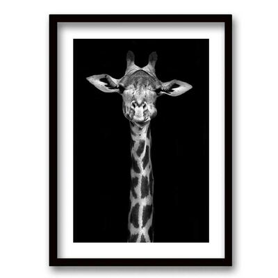 Cuadro Decorativo Retela Jirafa BN 70 x 50 cm
