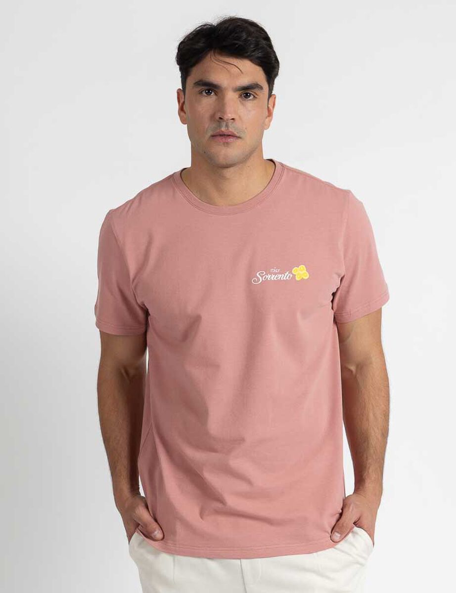 Polera Manga Corta Hombre Zibel