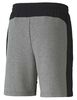 Short Hombre Puma Evostripe