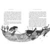 Libro Lita, La Niña del Fin del Mundo Ana María del Río Zig-Zag