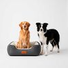 Cama Pawzen Ortop M70x50 Beepet