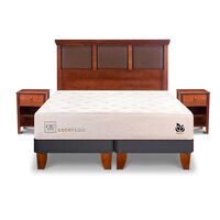 Cama Europea CIC Base Dividida King Cocopedic