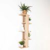 Repisa para Plantas TuHome Molly Rovere