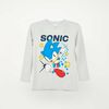 Polera Manga Larga Ni&ntilde;o Sonic