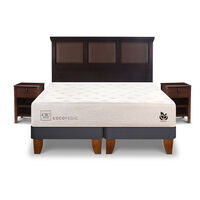 Cama Europea CIC Base Dividida King Cocopedic