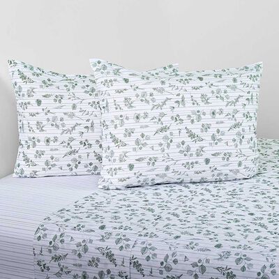 Imagen 1 del producto Juego de Sábanas Cannon 2 Plazas Pradela 200 Hilos Blanco