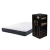 Cama Europea Flex 1,5 Plazas Uniko