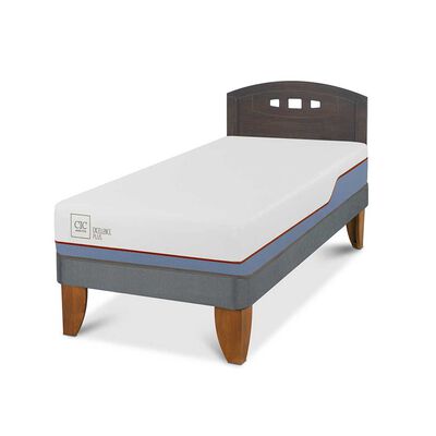Imagen 2 del producto Cama Europea CIC 1,5 Plazas Excellence Plus + Respaldo Gales
