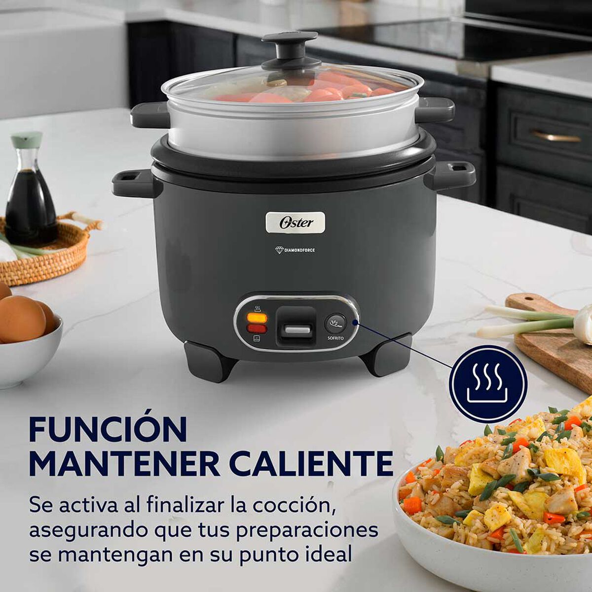 Arrocera Oster CKSTRC10DFSKE-052 2 lts.
