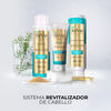 Revie 04 Shampoo Revitalizador Brillo + 02 Acondicionadores
