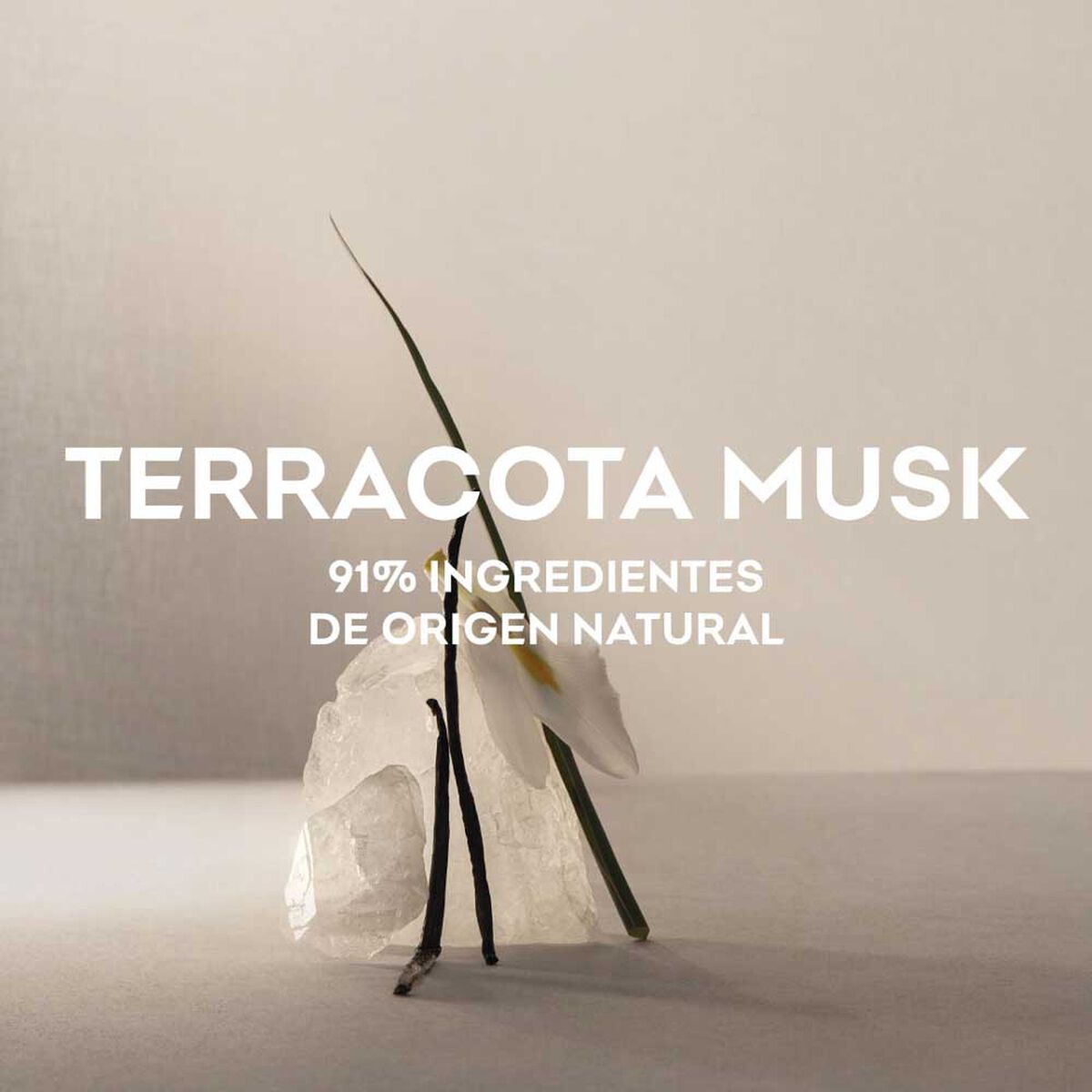 Perfume Adolfo Domínguez Agua Fresca Terracota Musk Hombre EDP 120ML