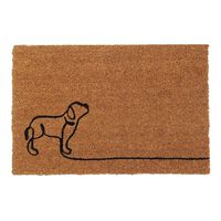 Limpiapiés Idetex Coco Pas 40 x 60 cm Café