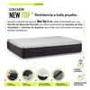 Cama Europea Boxet Latam Home Base Dividida 2 Plazas Zen Best