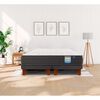 Cama Europea Flex 2 Plazas Europedic Dual + 2 Almohadas Royal