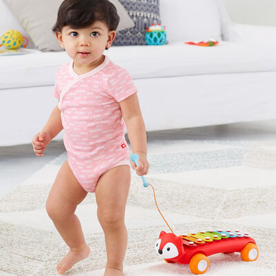 Imagen 2 del producto Xilofono Zorrito Skip hop