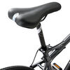 Bicicleta de Paseo Oxford Aro 29