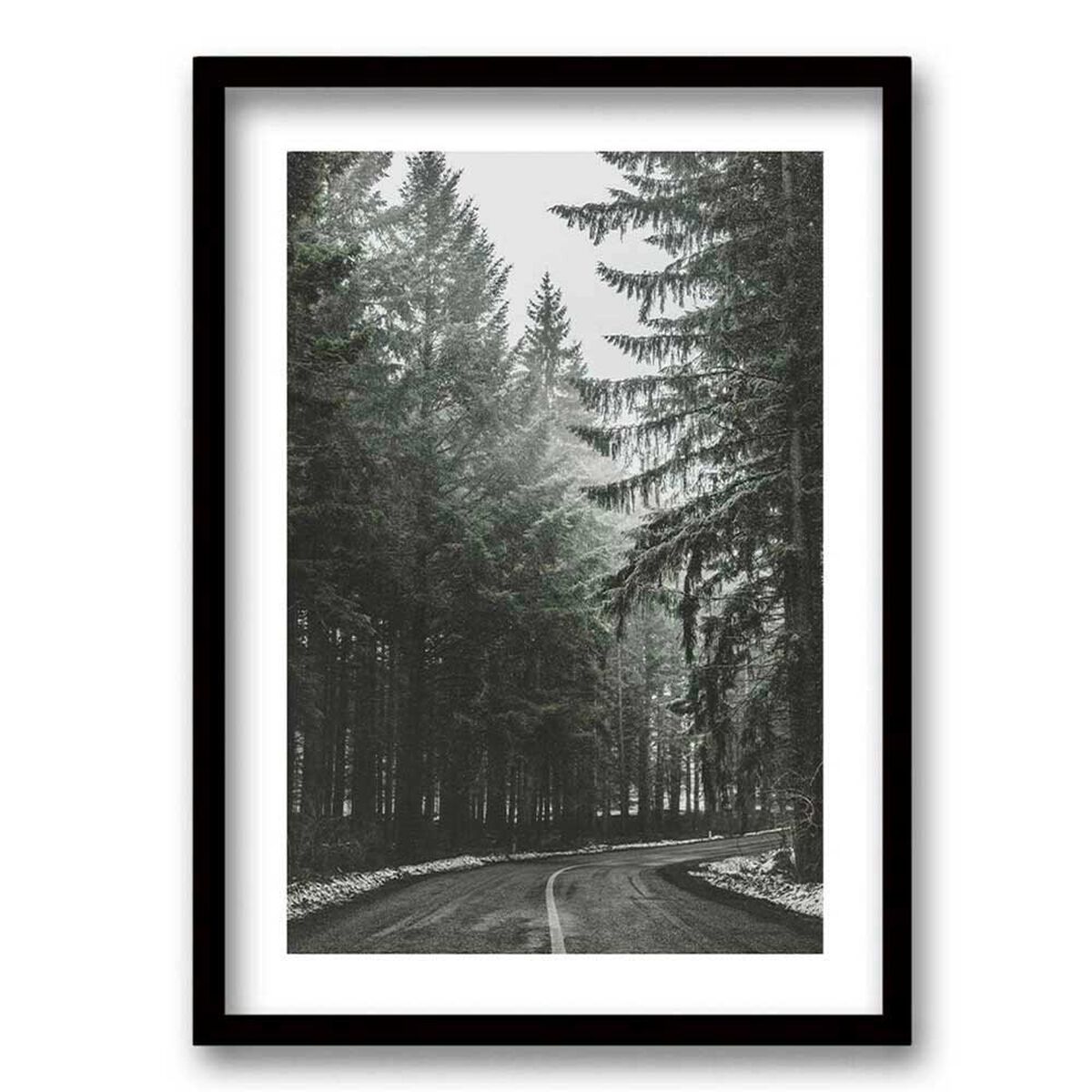 Cuadro Decorativo Retela Bosque BN II 40 x 30 cm