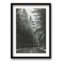 Cuadro Decorativo Retela Bosque BN II 40 x 30 cm