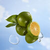Perfume Escada Summer Festival EDT 100 ml