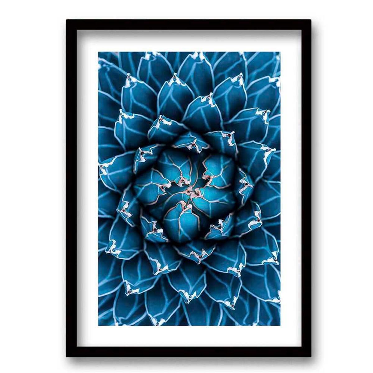 Cuadro Decorativo Retela Agave Cactus 50 x 35 cm
