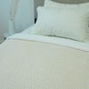 Frazada Doral 1,5 Plazas Fluffly Sherpa D6