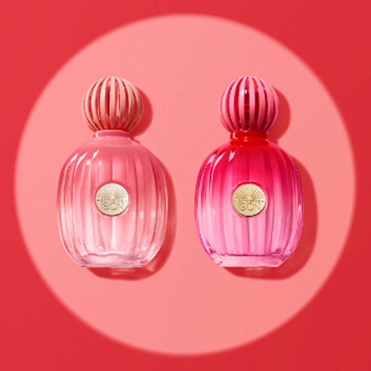Perfume Mujer Antonio Banderas The Icon Splendid EDP 100ml