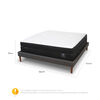 Cama Europea CIC 2 Plazas Curve Lux