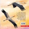 Libro Ciro, El Cigüeño Preguntón Claudia Engeler Zig-Zag