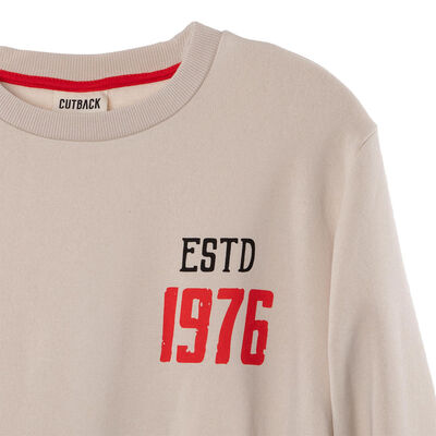 Imagen 2 del producto Polerón de Algodón Niño Cutback Arena, Azul, Coral, Verde