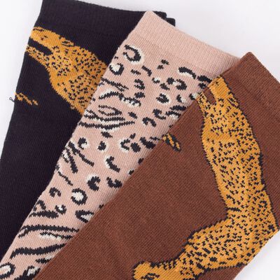 Imagen 2 del producto Pack 3 Calcetines Mujer Icono Cafe