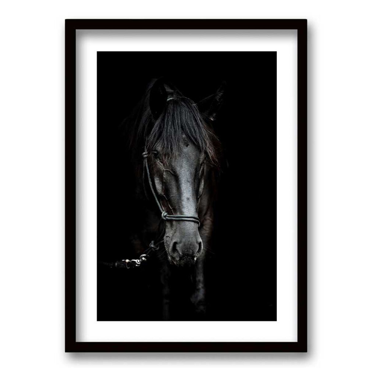 Cuadro Decorativo Retela Caballo BN 70 x 50 cm