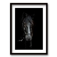 Cuadro Decorativo Retela Caballo BN 70 x 50 cm