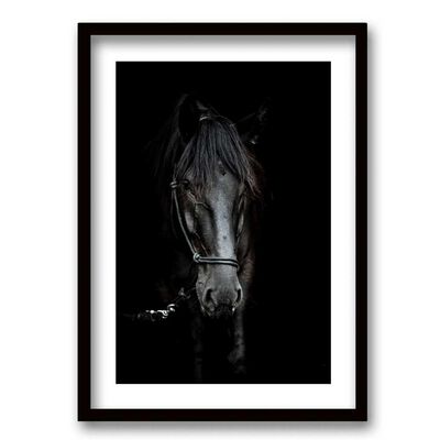 Imagen 1 del producto Cuadro Decorativo Retela Caballo BN 70 x 50 cm