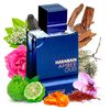 Perfume Al Haramain Amber Oud Dubai Night Extrait De Parfum 75ml Unisex