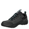 Zapatilla Hombre Panama Jack