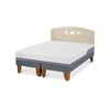 Cama Europea CIC Base Dividida 2 Plazas Excellence Plus + Respaldo Gales Alpino