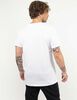 Polera Deportiva Hombre Lotto