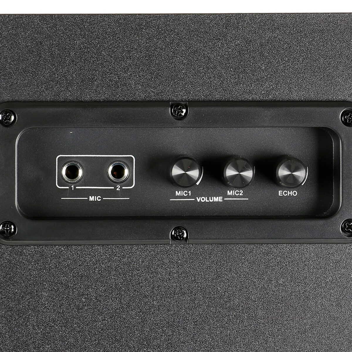 Parlante Karaoke Master-G Black Wall