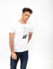 Polera Pink Floyd Hombre Zibel