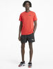 Short Hombre Puma