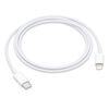 Cable USB-C a Lightning Apple 1 Metro