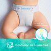 Pañales BeBaby Premium By Bebesit M 80u Hipoalergénico