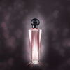 Perfume Shakira Sweet Dream EDT 80 ml