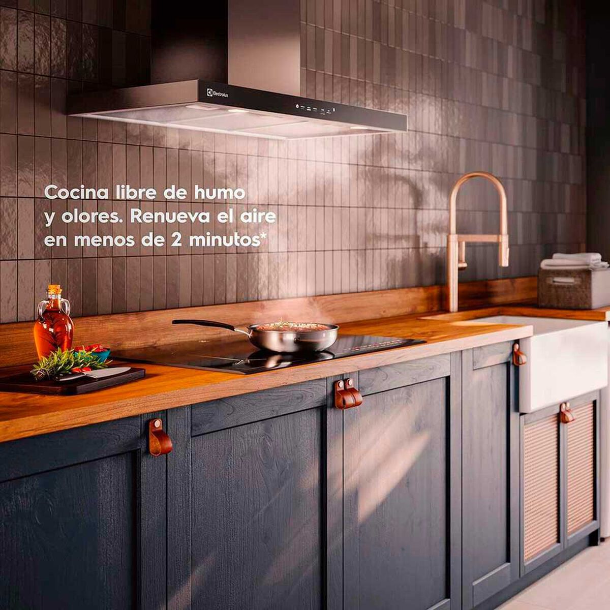 Campana Electrolux CE9TF