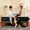 Cama Europea CIC 1,5 Plazas Premium + Respaldo + Velador Munich