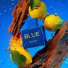 Perfume Antonio Banderas Hombre Blue Seduction Summer Essence 100 ML