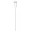 Cable USB-C a Lightning Apple 1 Metro