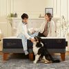 Cama Europea CIC Base Dividida 2 Plazas Premium + Respaldo + 2 Veladores Torino