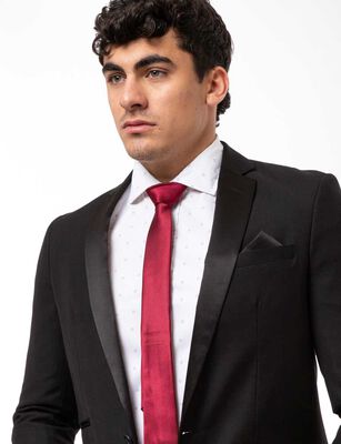 Imagen 2 del producto Corbata Slim Hombre Zibel Burdeo